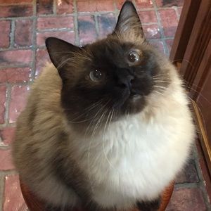 Meet your Posher, Ellen